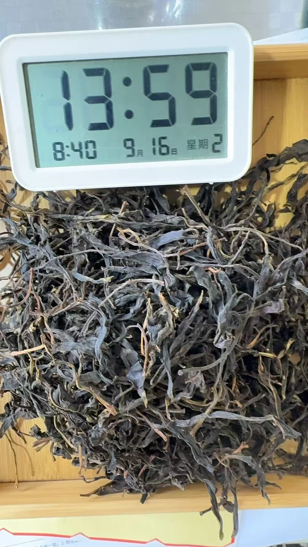 老吴严选【238】2024年（春）凤庆大雪山野生单株普洱生茶散茶9-16