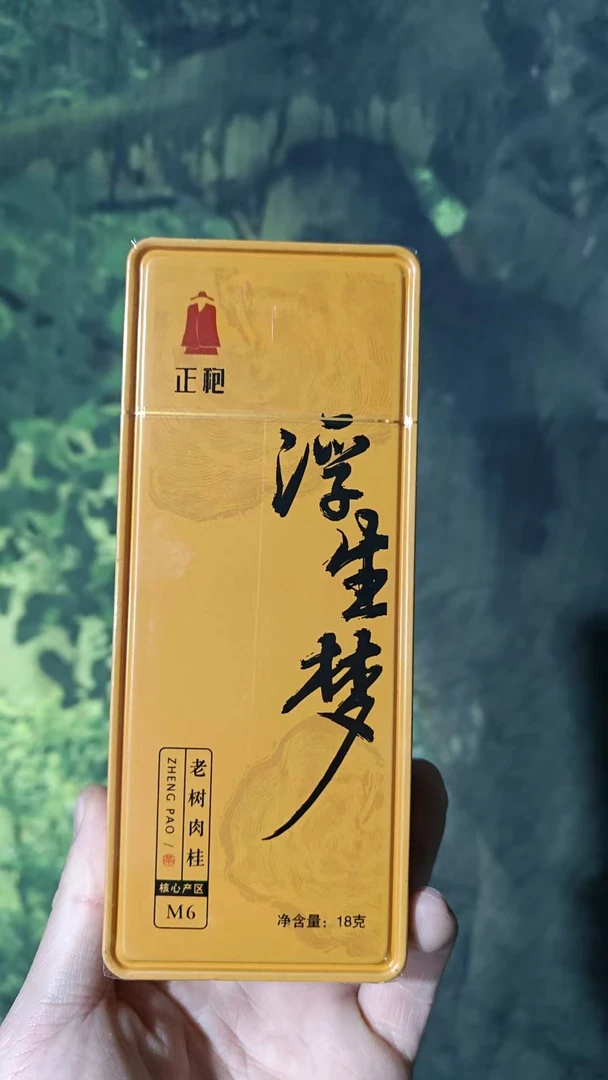 【新人首降】浮生梦老树肉桂 武夷岩茶 一盒2泡 品鉴高货