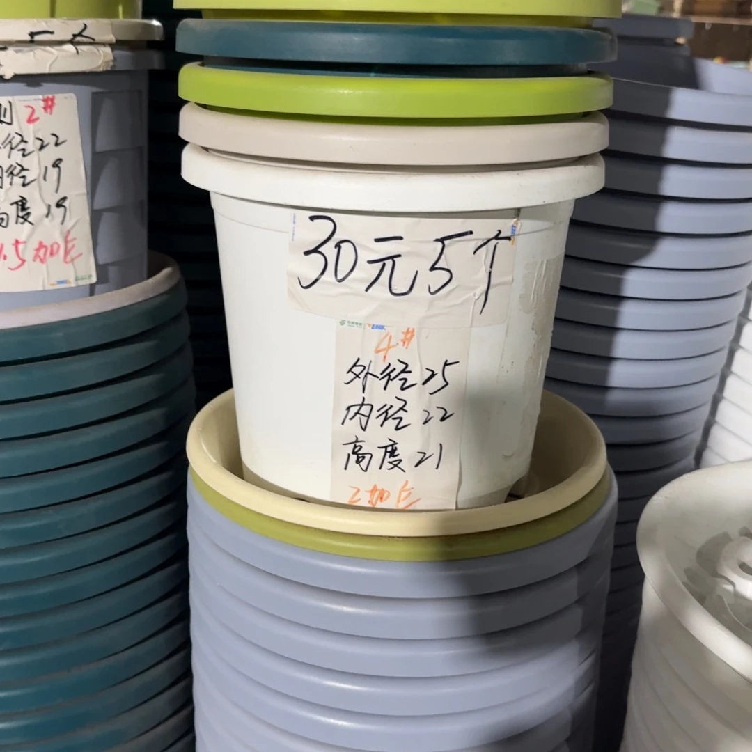 四季4#口径25无拖果绿5个