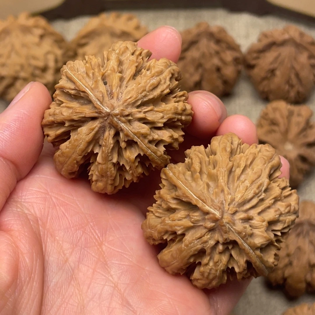 把件文玩核桃秦岭核桃8号