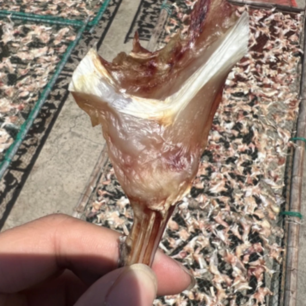 舟山阿姨自晒安康鱼鲞160g/包×6
