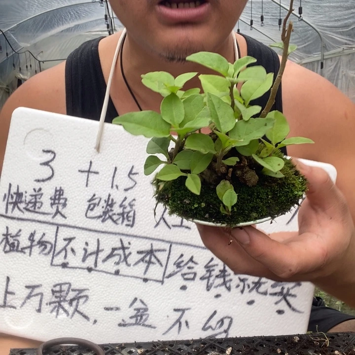 退款拉黑一物一拍275