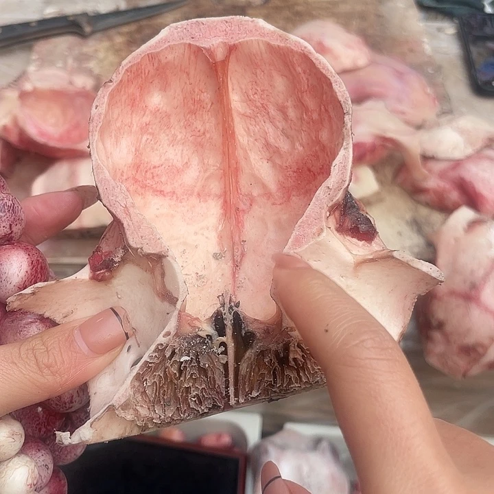 养殖鹿骨三界牌子