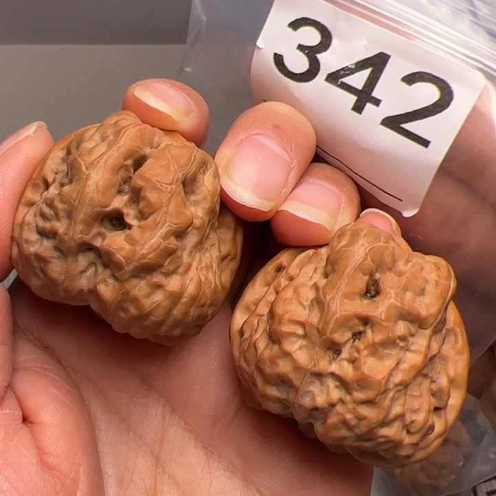 核桃41肚342红皮开背蛙342