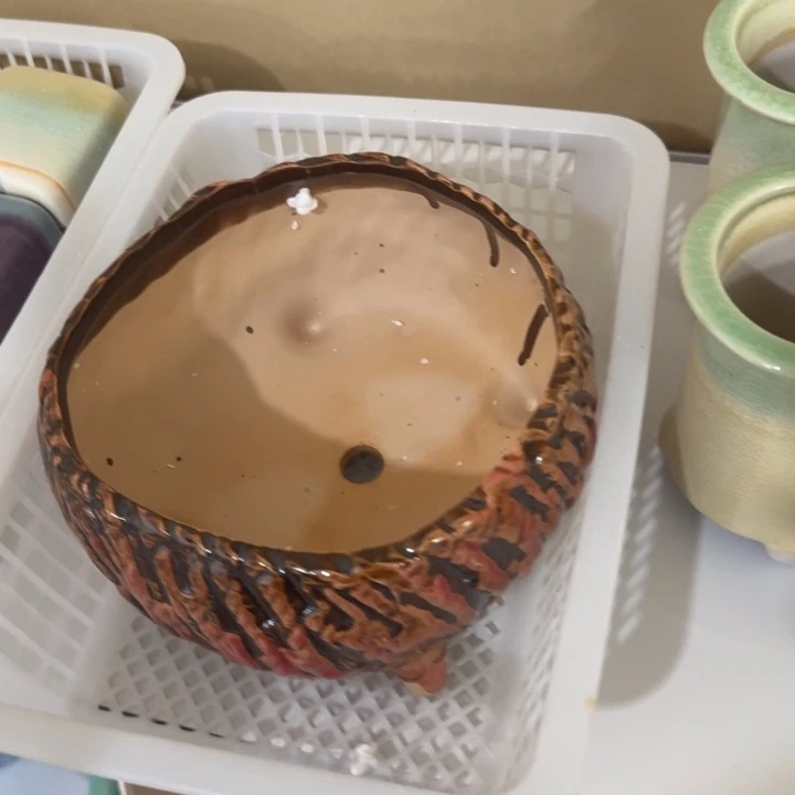 花盆花盆花盆花盆