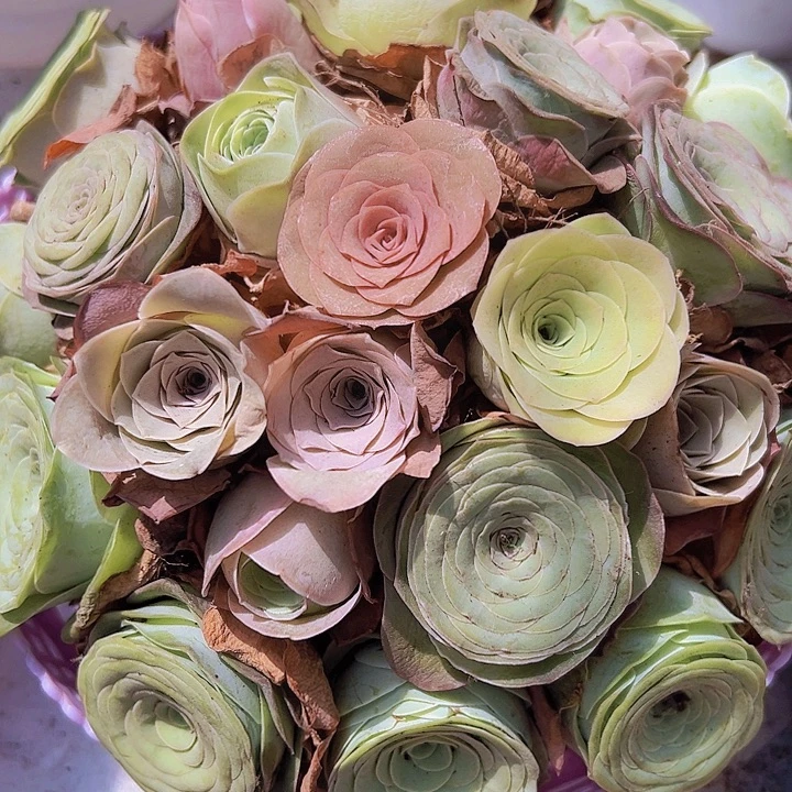 圆形花蓝26颗做好发货