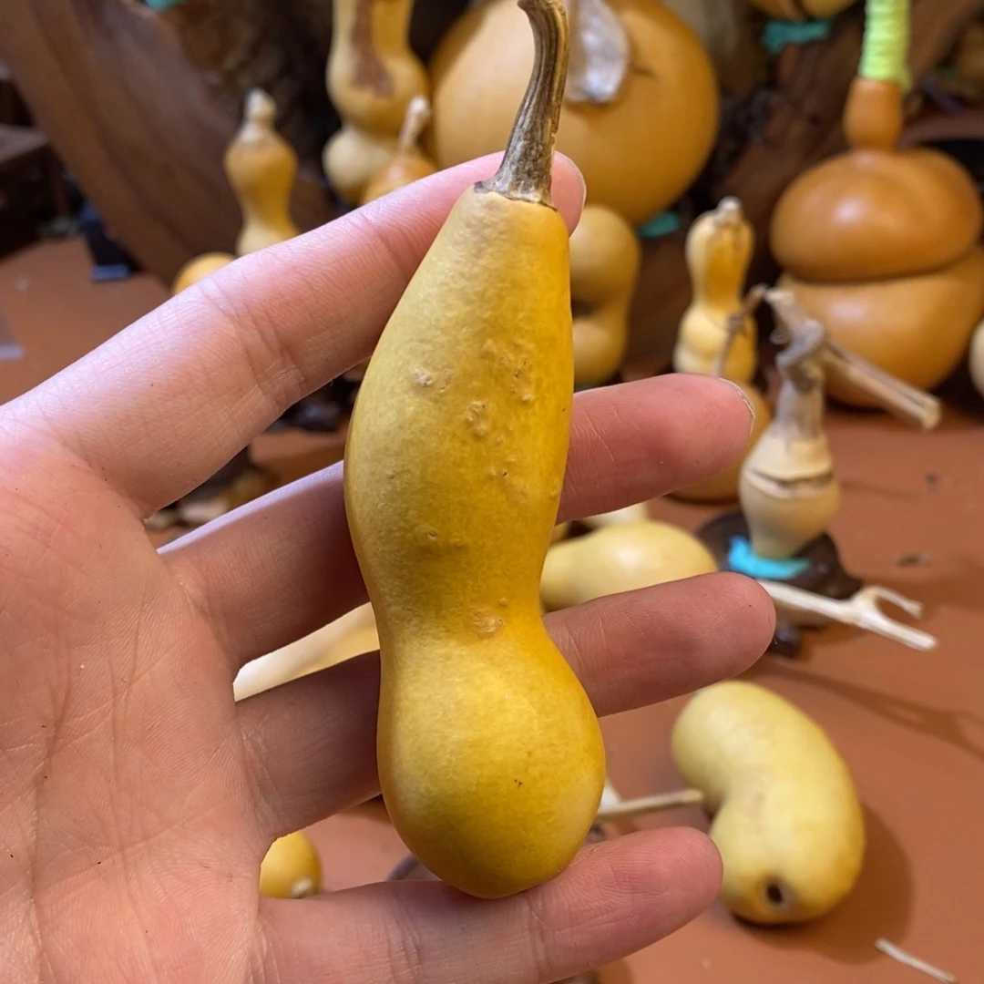 瑞***禄教练教练教练教练咯