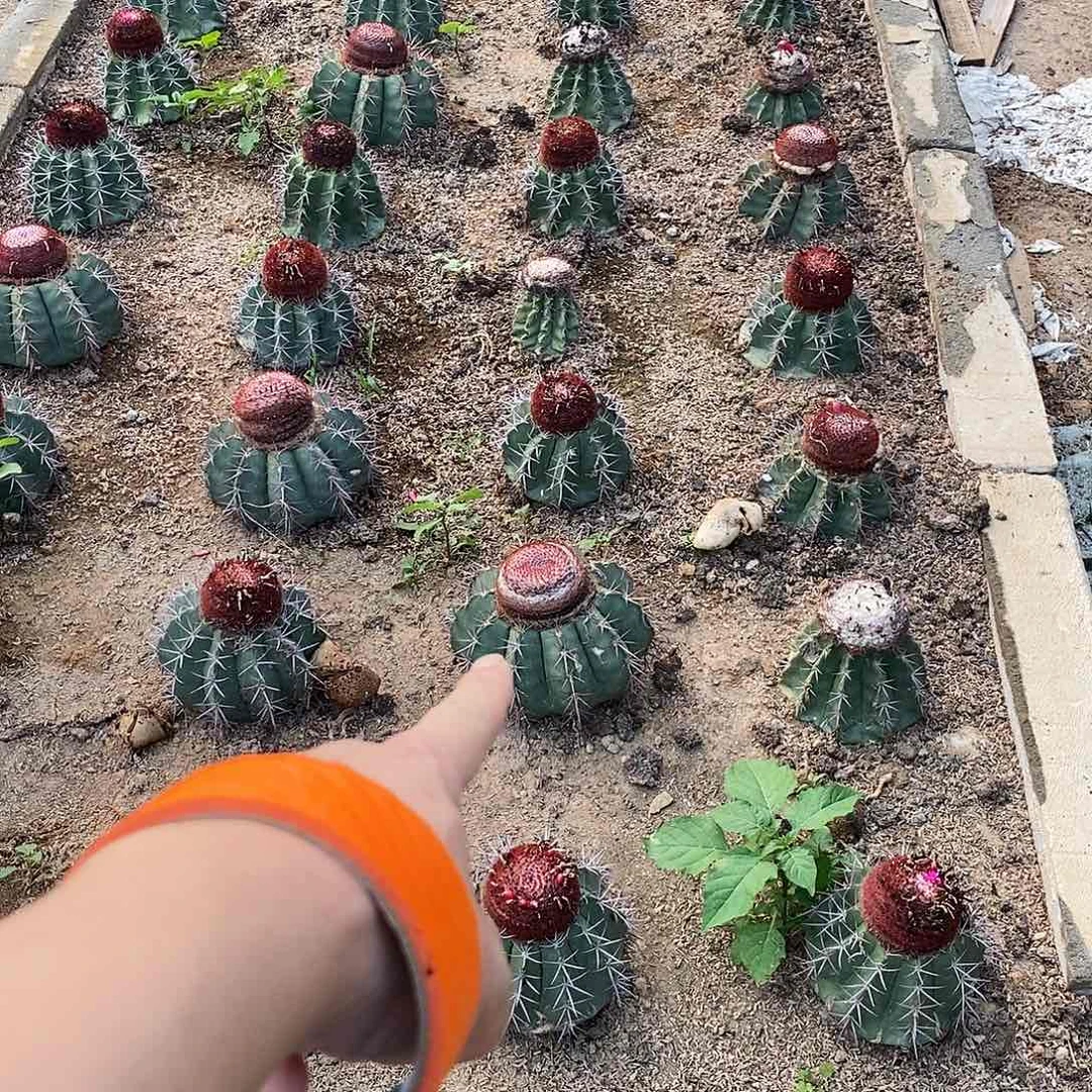 九***莉0000000000000000000