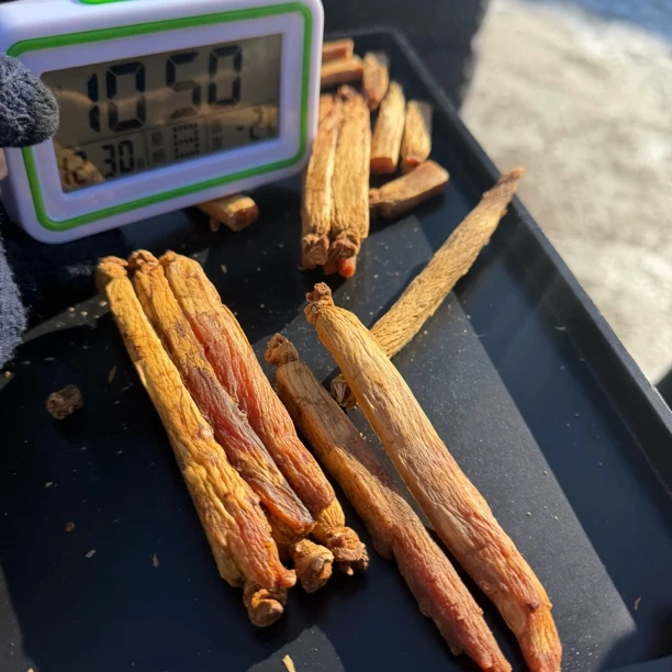 长白山滋补高丽参.2