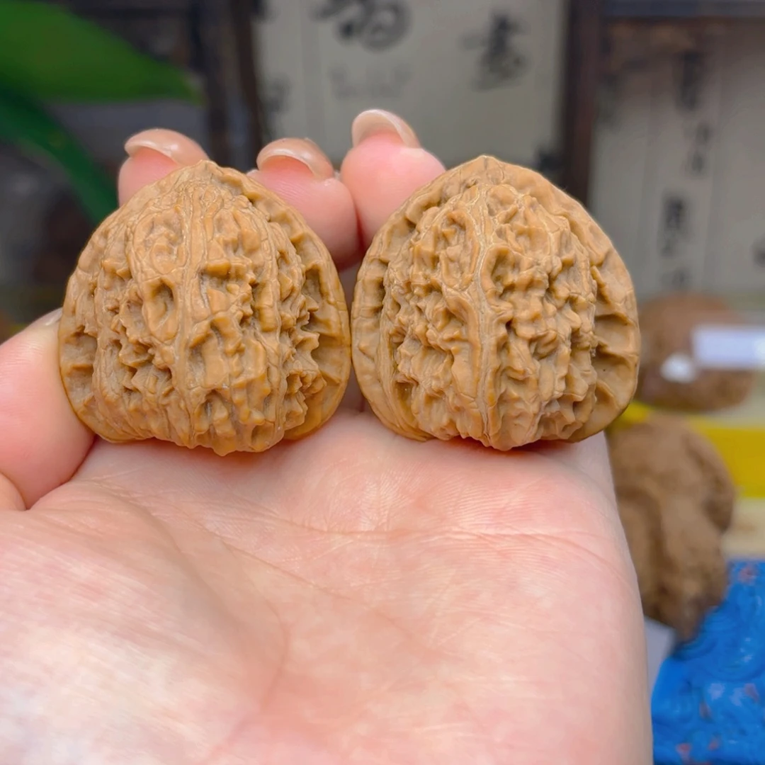 白狮子头三十六点五尺