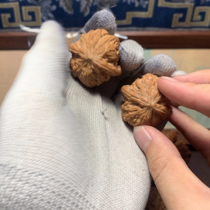 用***5哈哈哈哈哈哈哈哈哈