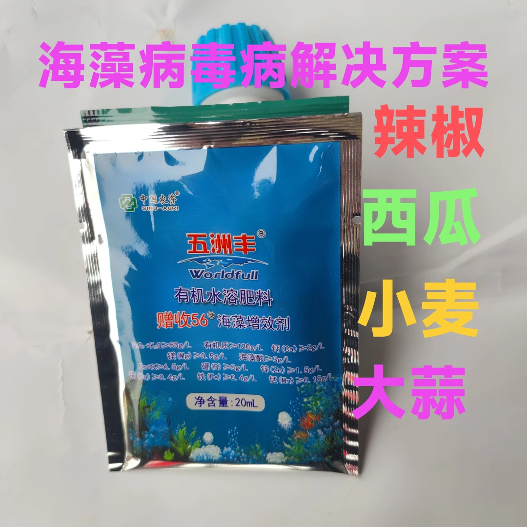 海藻病毒病解决方案(小麦、辣椒、西瓜、甜瓜、大蒜`花生)
