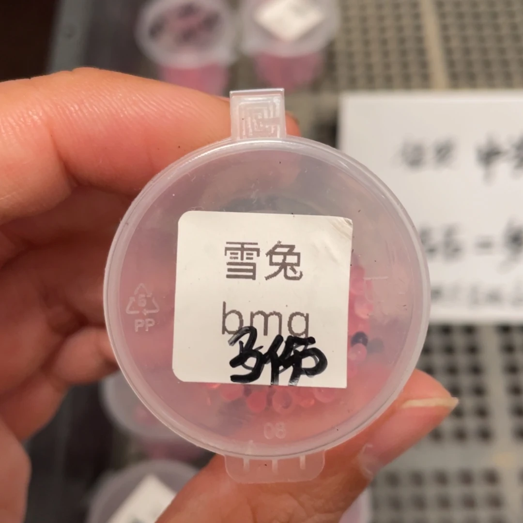 雪兔✖️白玫瑰冰城20粒，好看新品