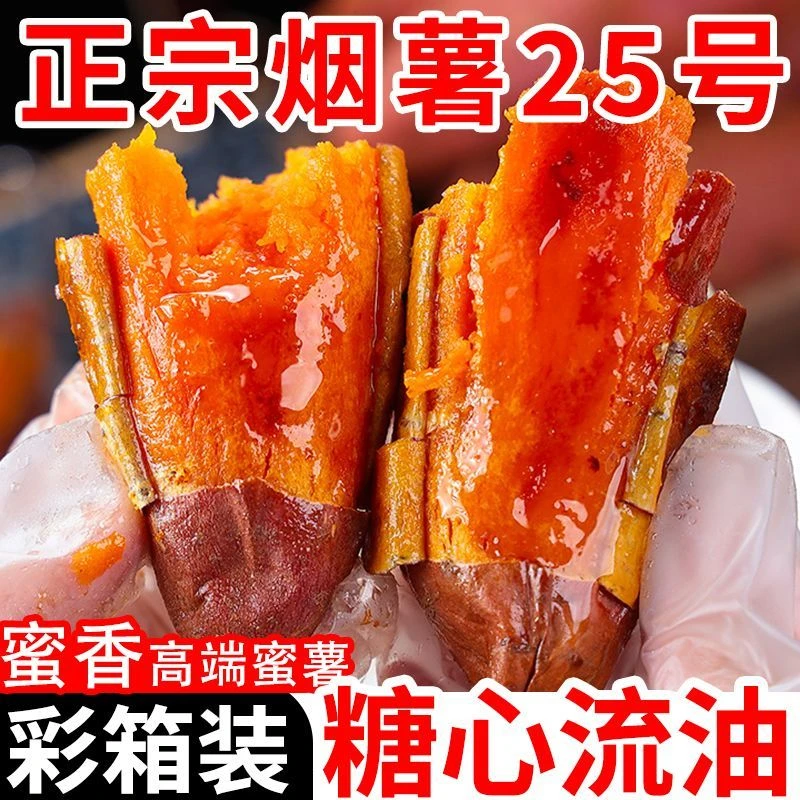 正宗烟薯25号新鲜沙地现挖红薯红糖心蜜薯番薯当季应季一整箱批发