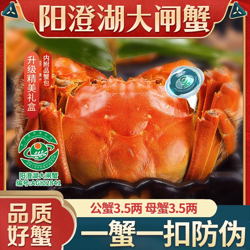 【活蟹】正宗阳澄湖大闸蟹礼盒公蟹3.5两母蟹3.5两6/8/10只高标塘养