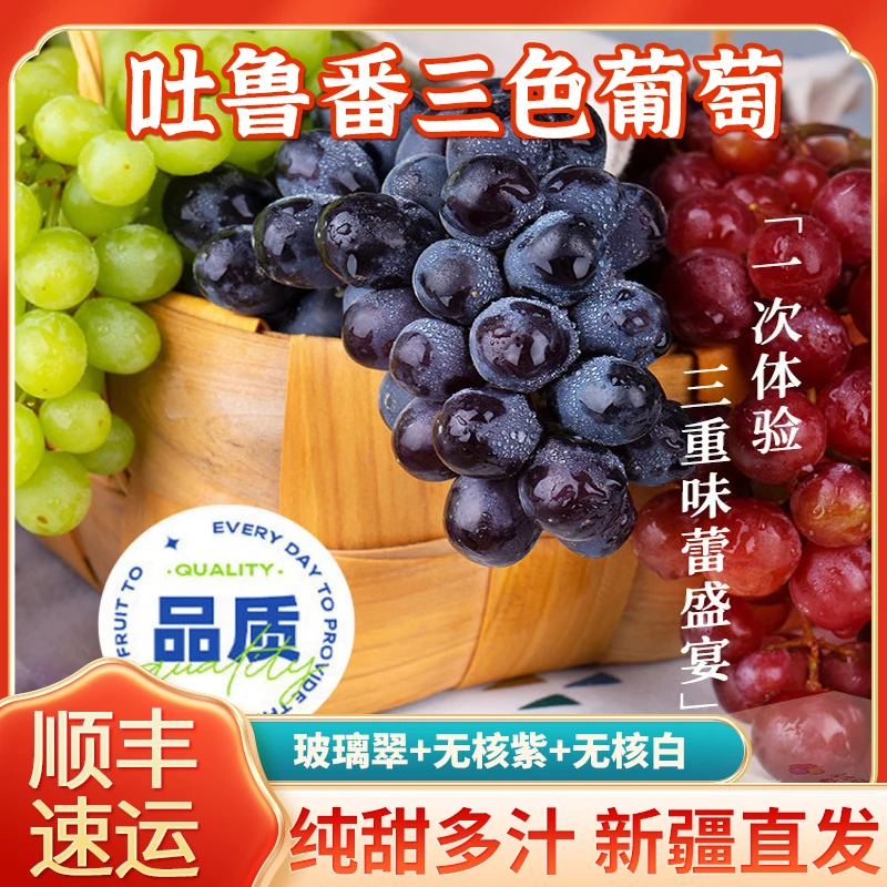 【顺丰速运】新疆三色葡萄吐鲁番直发当季新鲜水果三拼无核无籽葡萄