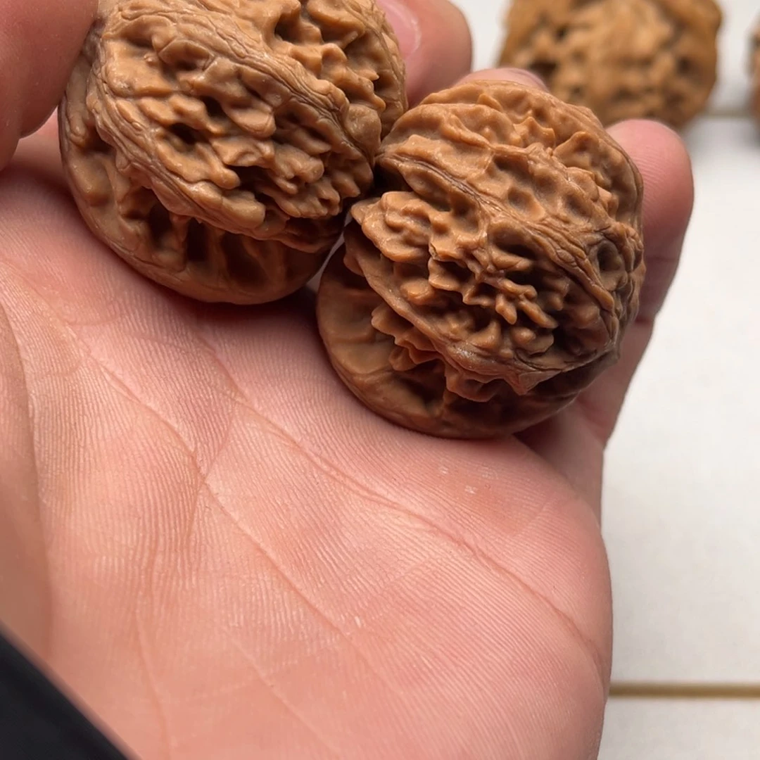 随*风小反反复复反反复复反反复复