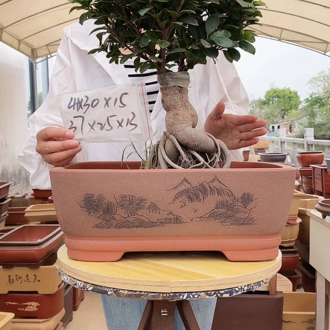 紫砂花盆紫砂花盆