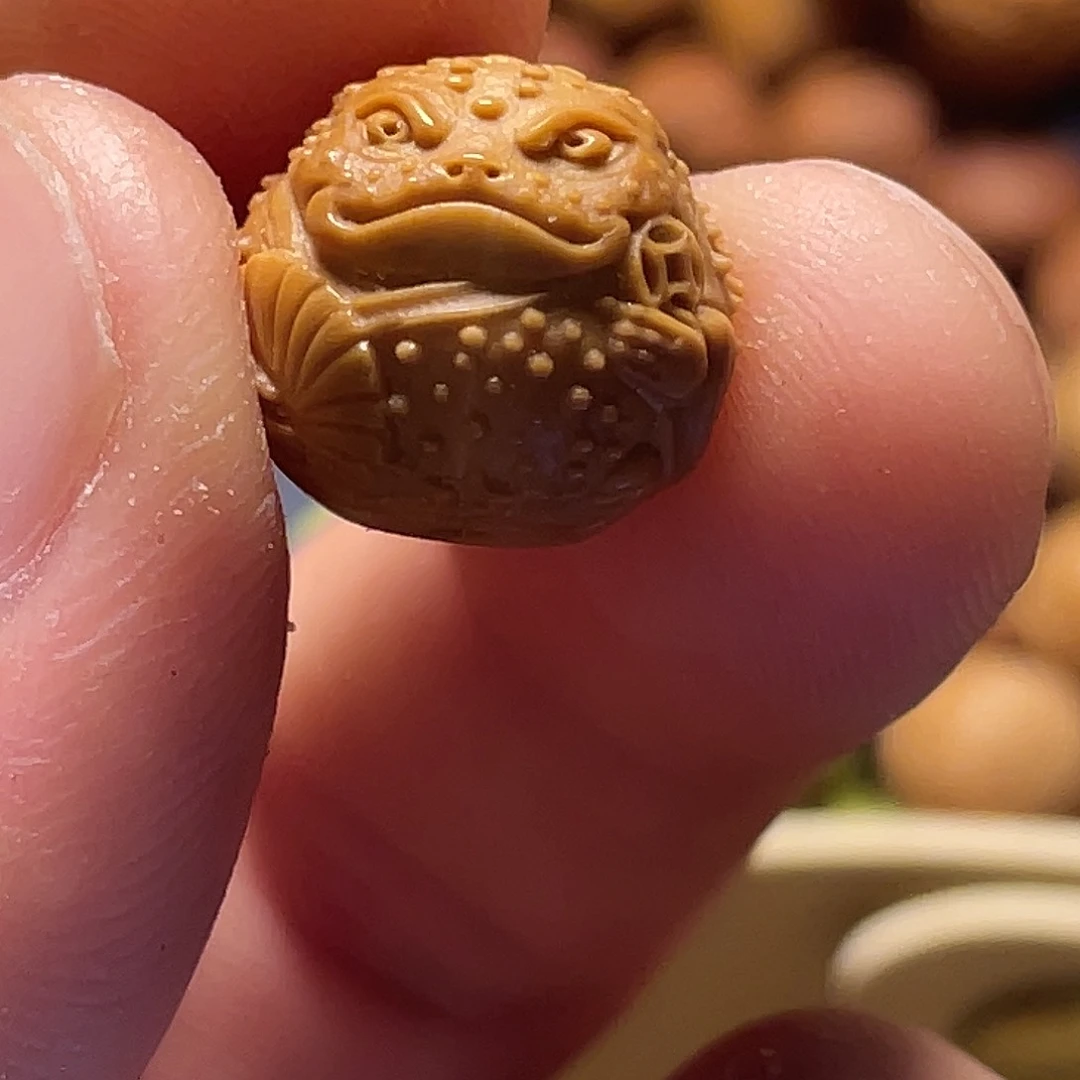 云蝉猴头，文金蟾单籽