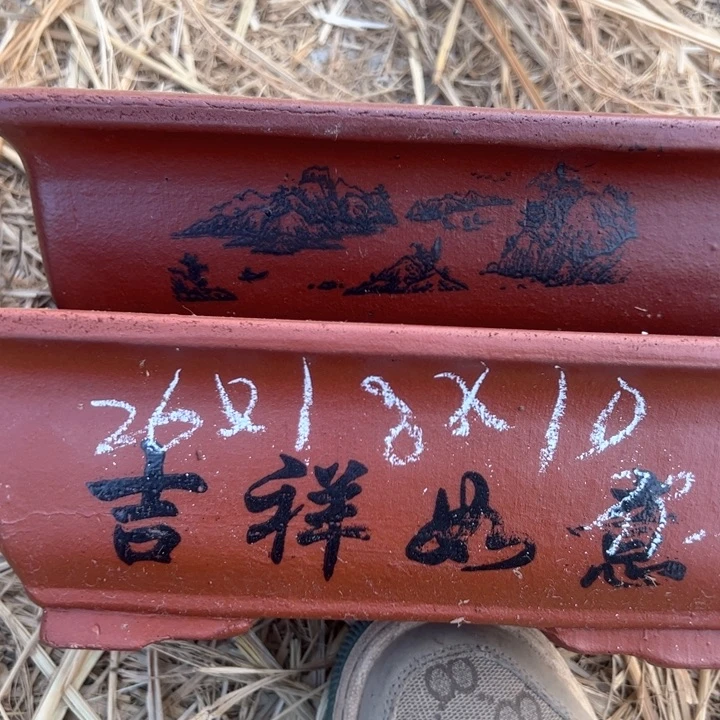 紫砂马槽马槽马槽ma c