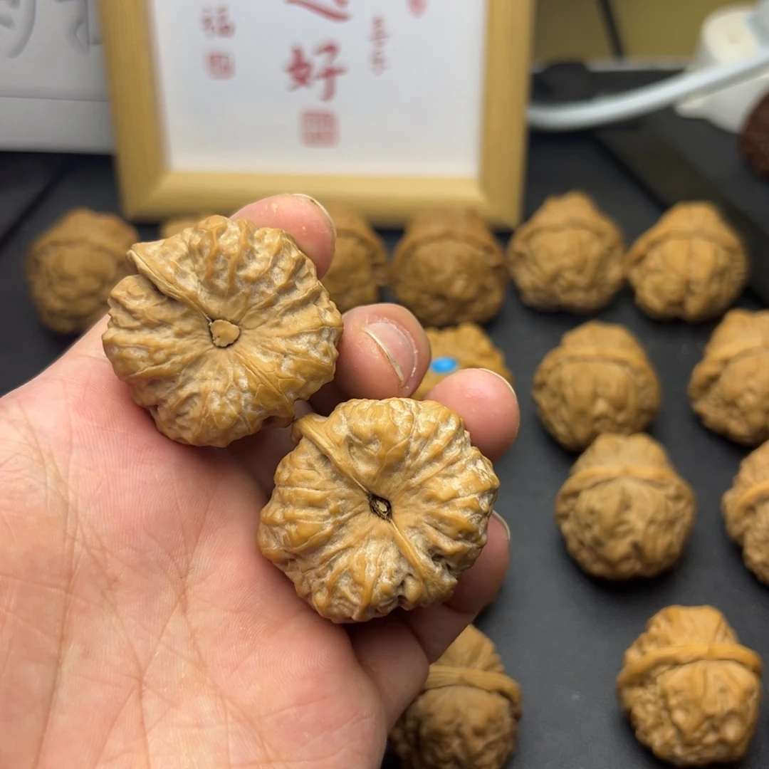 核桃手串/手链朝*39蛤蟆头真好