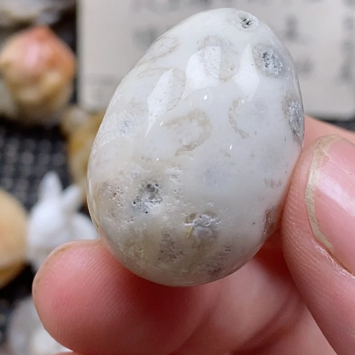 颈饰未镶嵌硅化珊瑚（珊瑚玉）有瑕