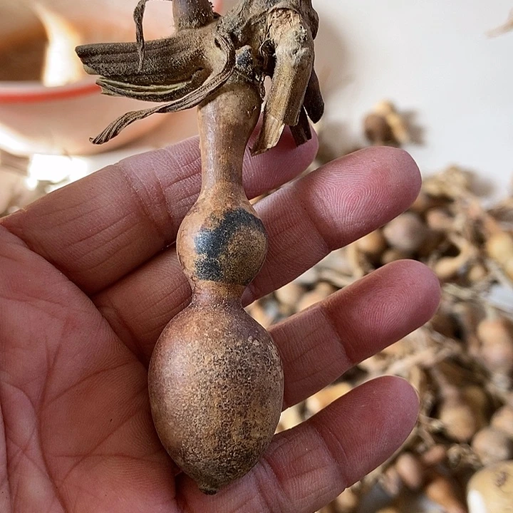 abj z j xv s bab d