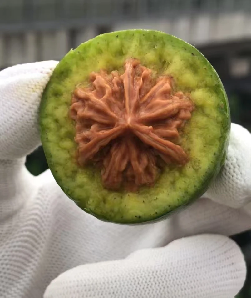 文玩青皮核桃盘山三棱特色青皮不退不换不保配对产地直发不保三棱