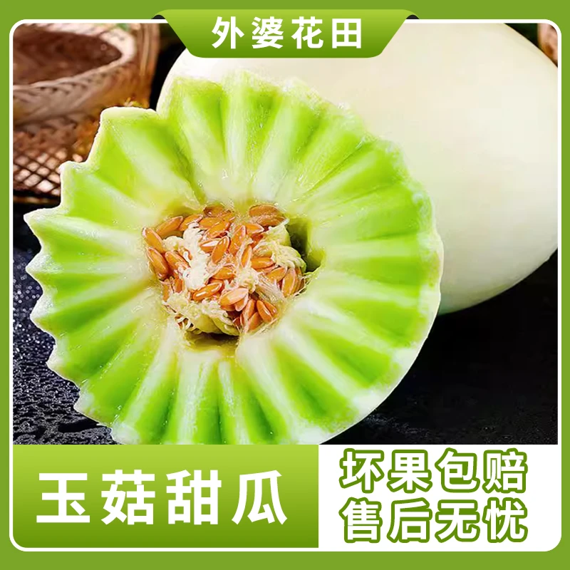 山东正宗玉菇甜瓜4.5-5斤2个装现摘现发源头直采赠勺子