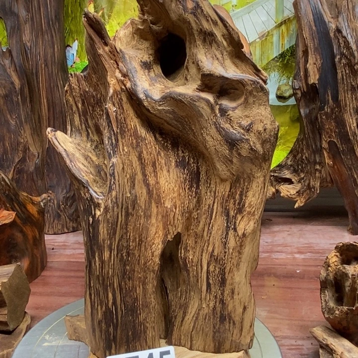 冯***博木我在外面吃饭呢260