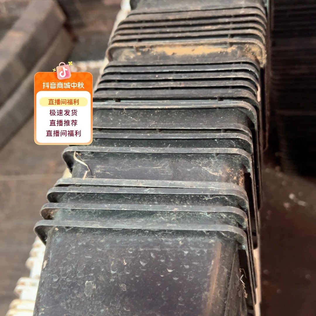 黑方120盆11.5口径8.5高 20个