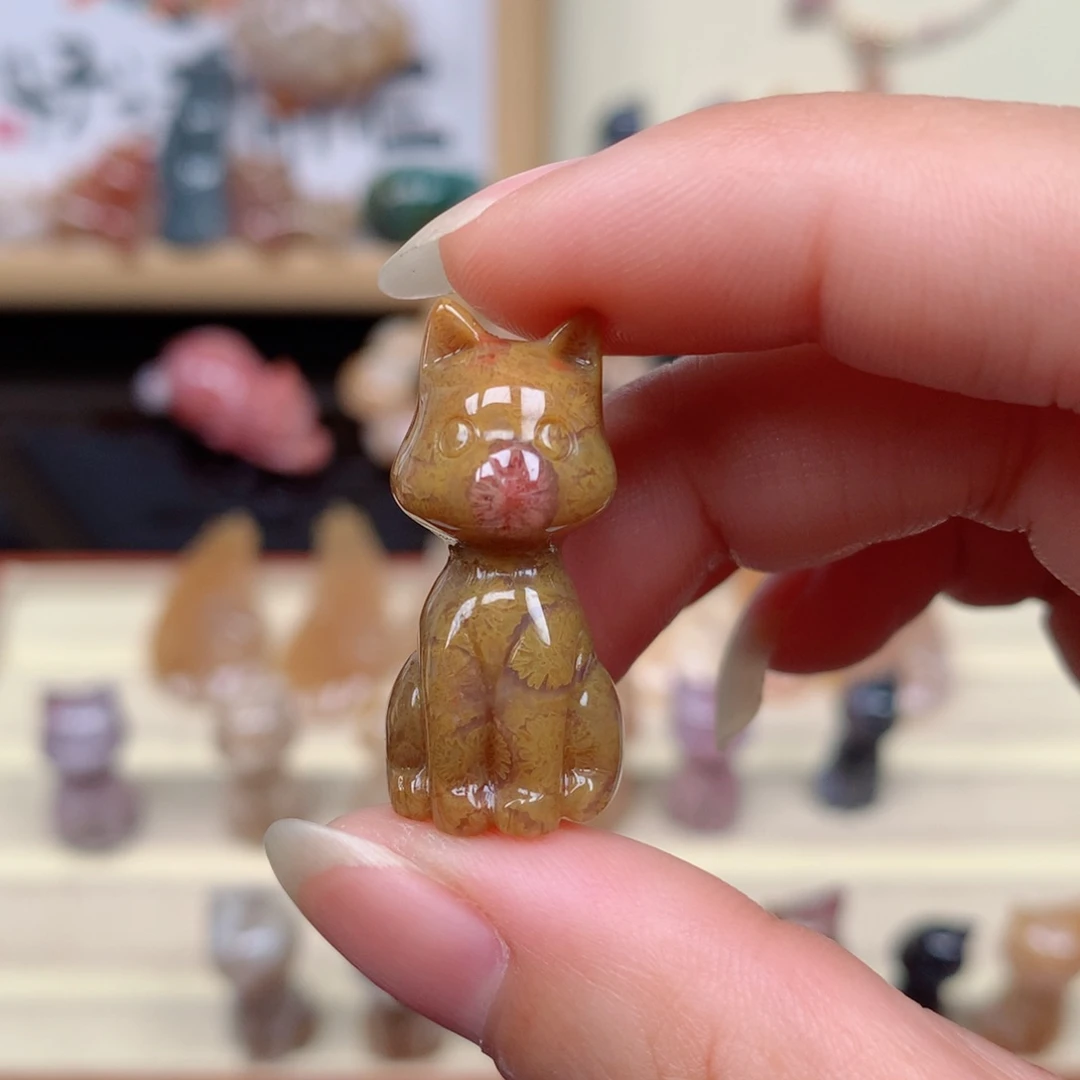 硅化玉珊瑚玉未镶嵌
