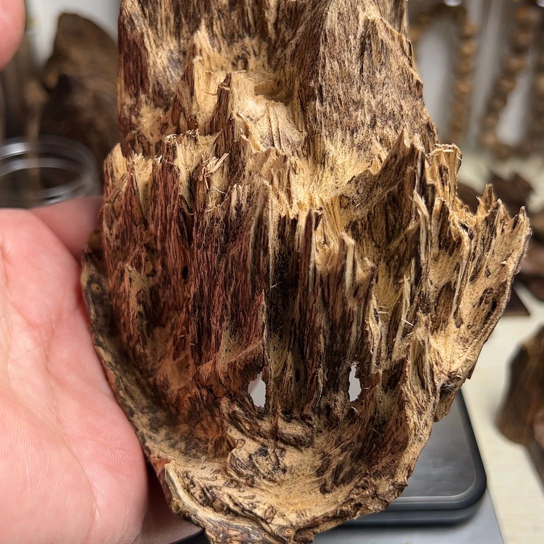 沉香沉香碎屑东马沉香吊口49克