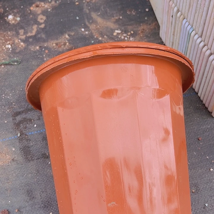 红砖口径22.5高20发10个