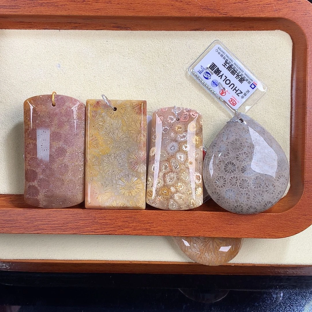 吊坠(赠链)未镶嵌硅化珊瑚（珊瑚玉）31号精品吊坠50一个可挑