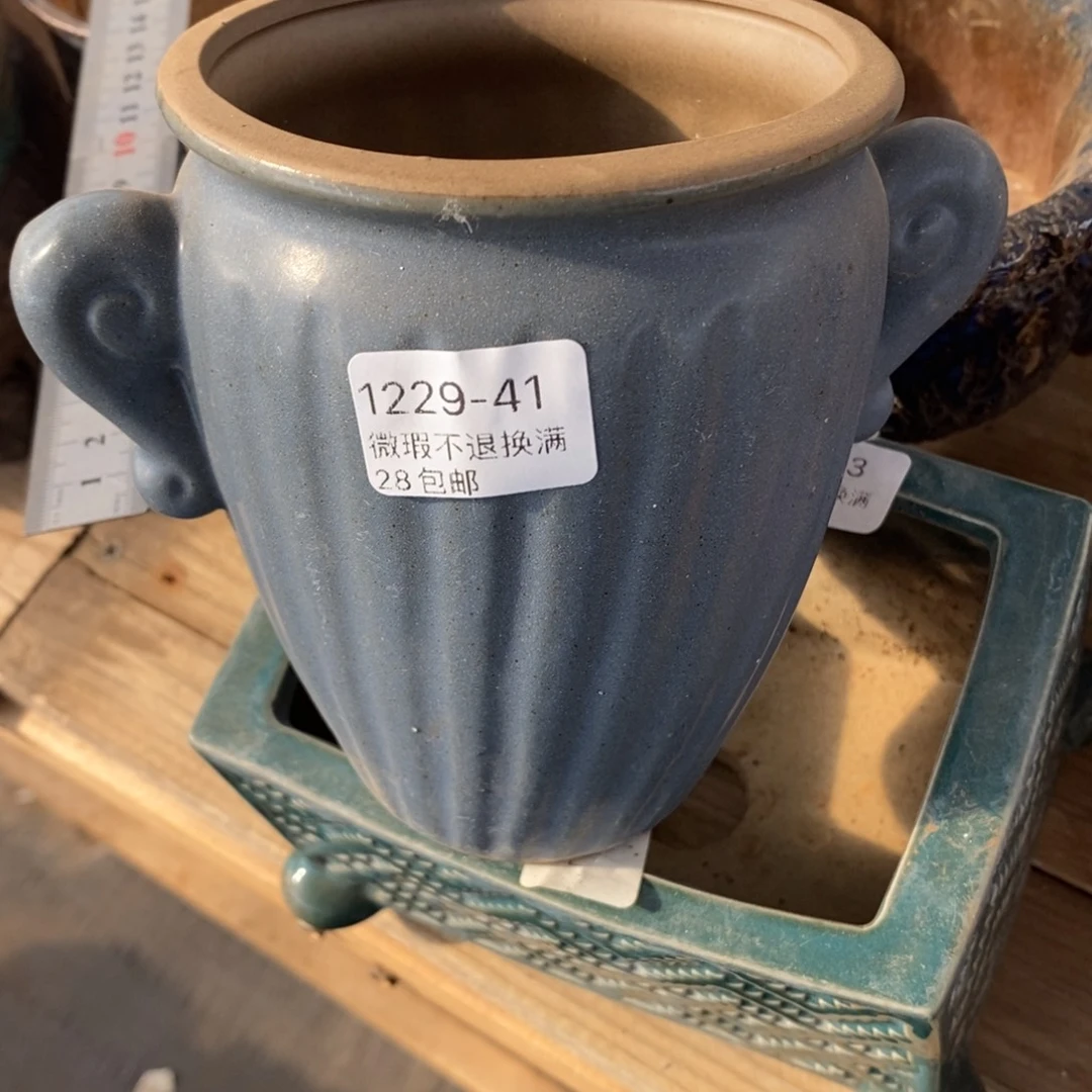 41号花盆内9高12.5