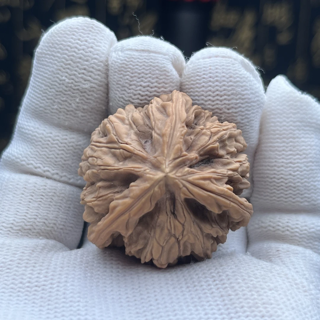 全品37.5尺文山三棱单只核桃有浮黄边37.5/36/36高31.5毫米