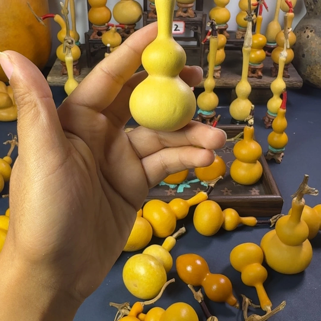 直播间专项链接 请勿乱拍