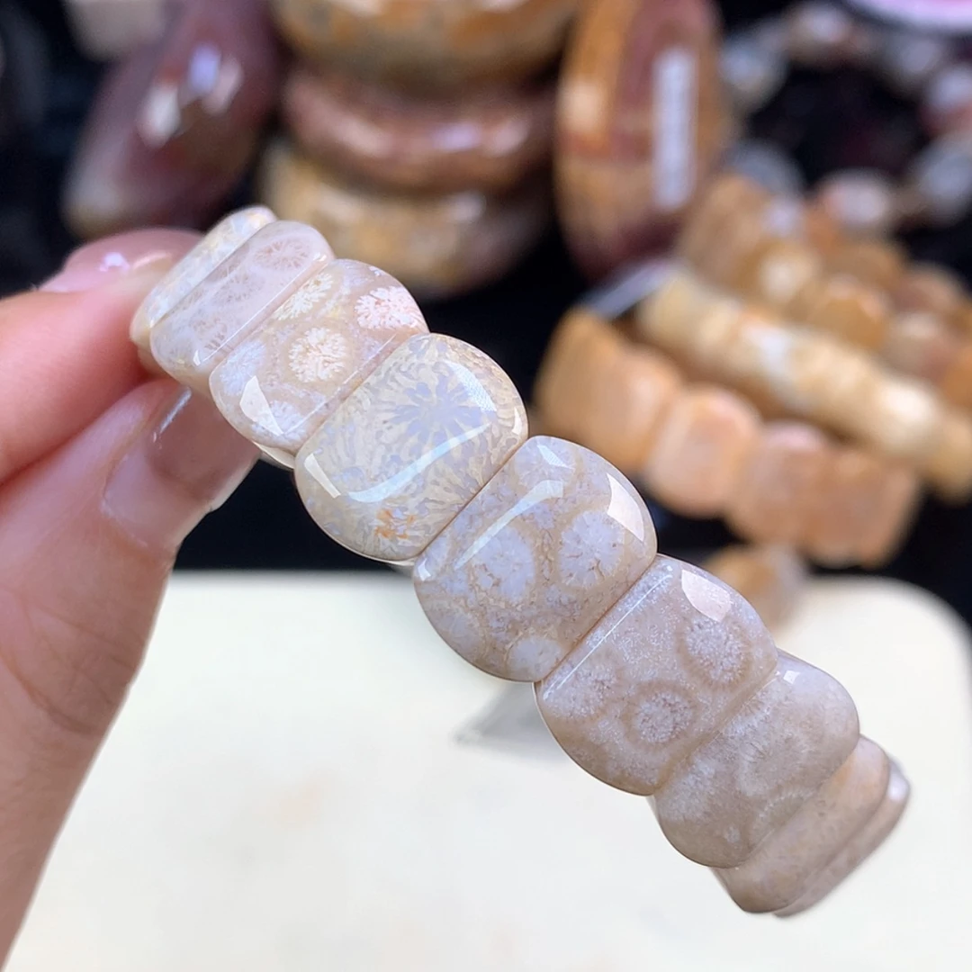 【闪购商品】颈饰未镶嵌硅化珊瑚（珊瑚玉）开播福利5号