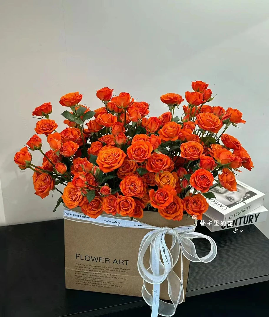 【橙色芭比10支】云南鲜花基地直发 家庭水养插花