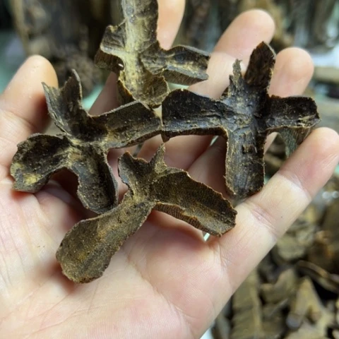 沉香碎屑沉香棋楠海南陆河18.9克