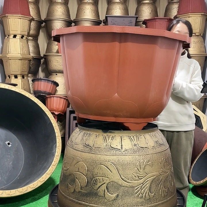 荷花盆八零一个红色