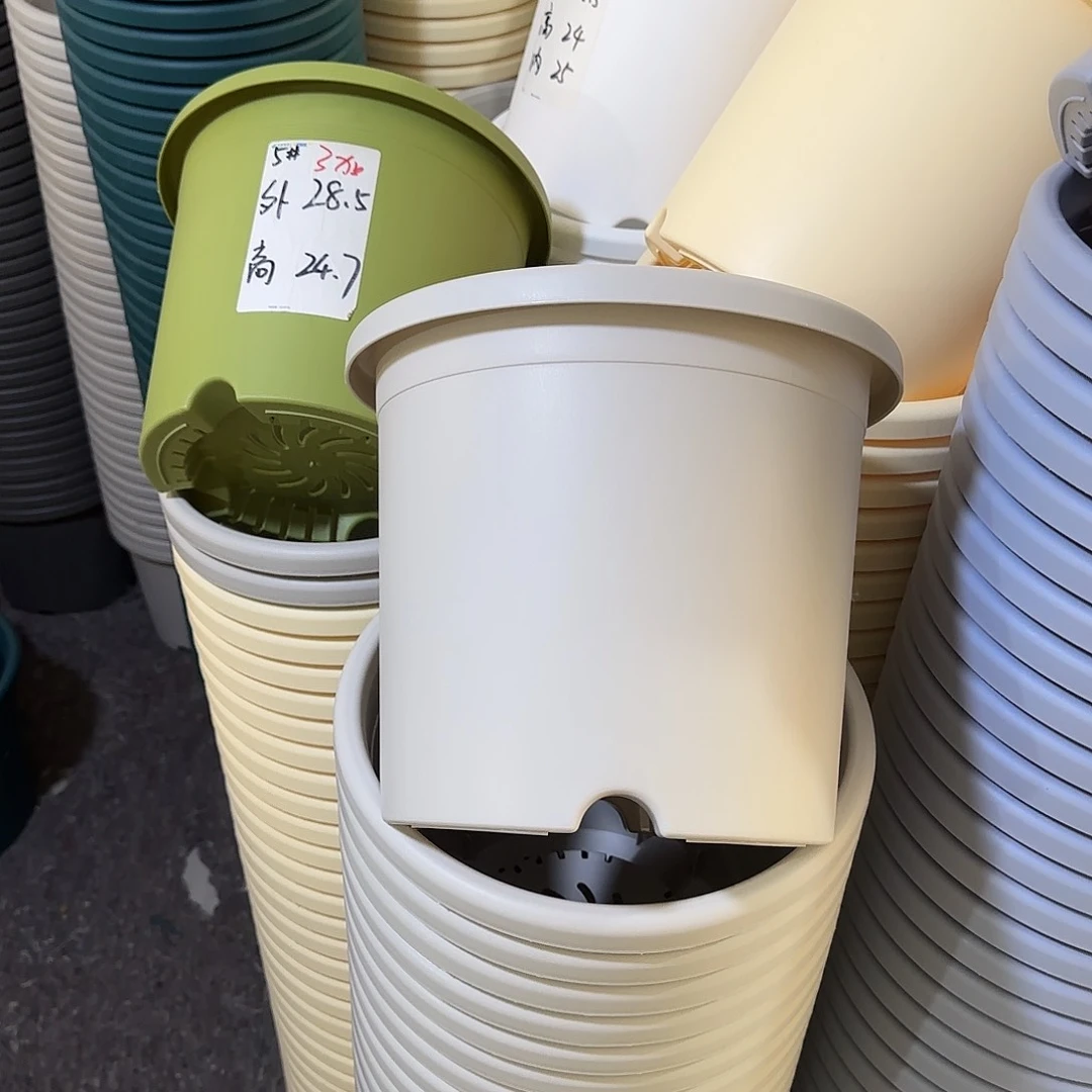 微瑕5号6个无托，灰白