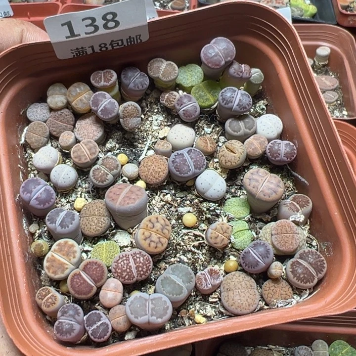 【闪购商品】 138。