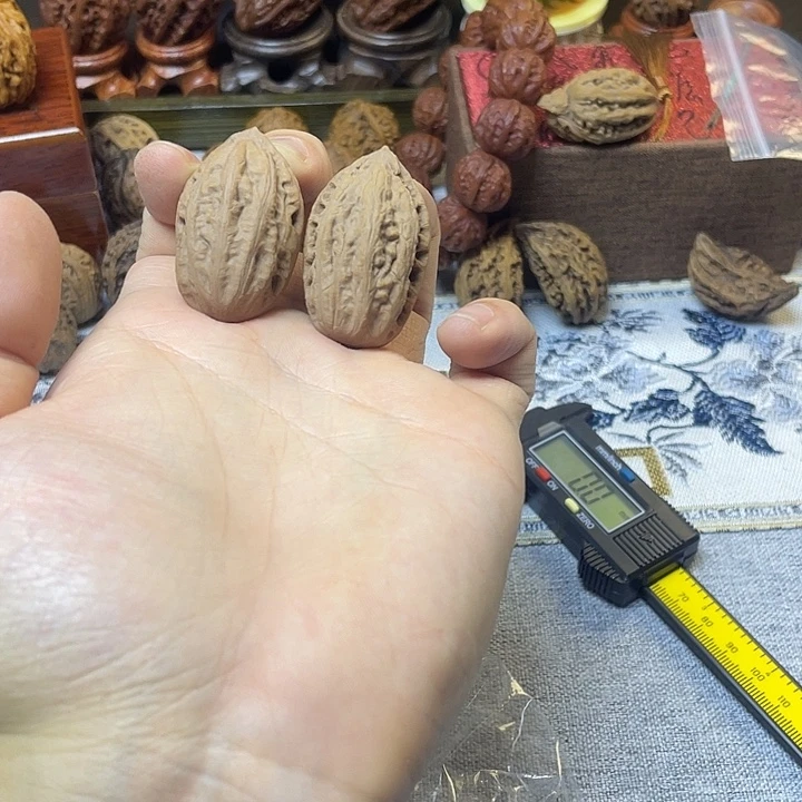 核桃东北楸子肉枣11