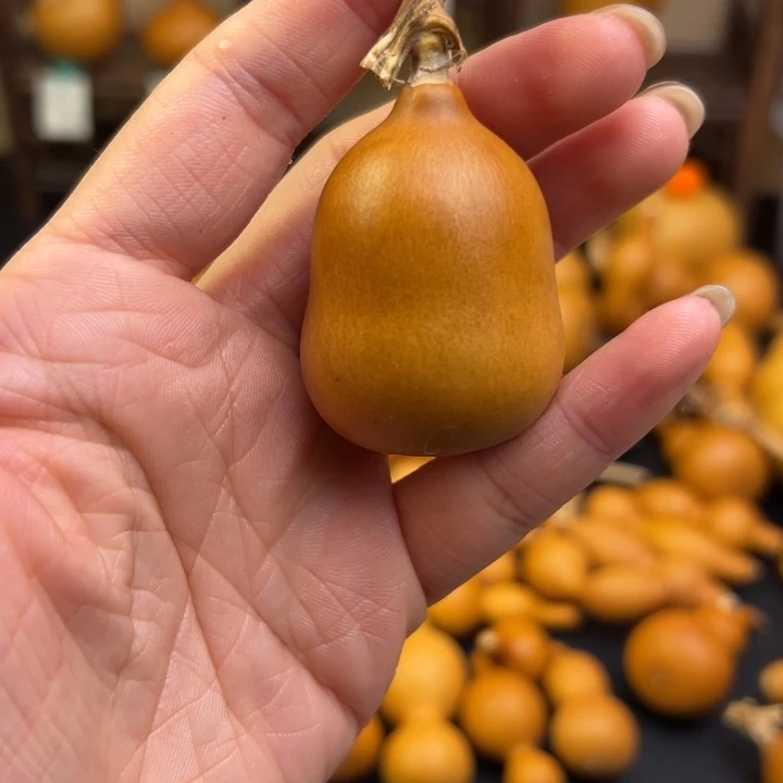 蘇**u葫芦葫芦葫芦葫芦