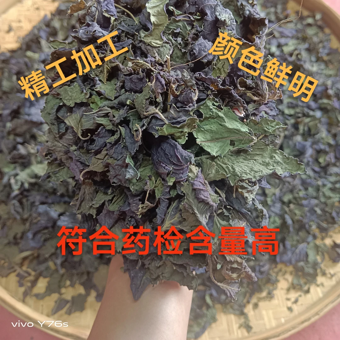 玉林产地货-药食同源紫苏切碎无杆味香可做菜煮鱼泡水喝，买一送一