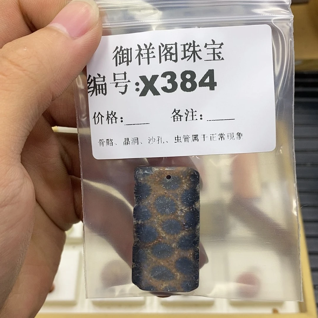硅化珊瑚（珊瑚玉）未镶嵌颈饰清*