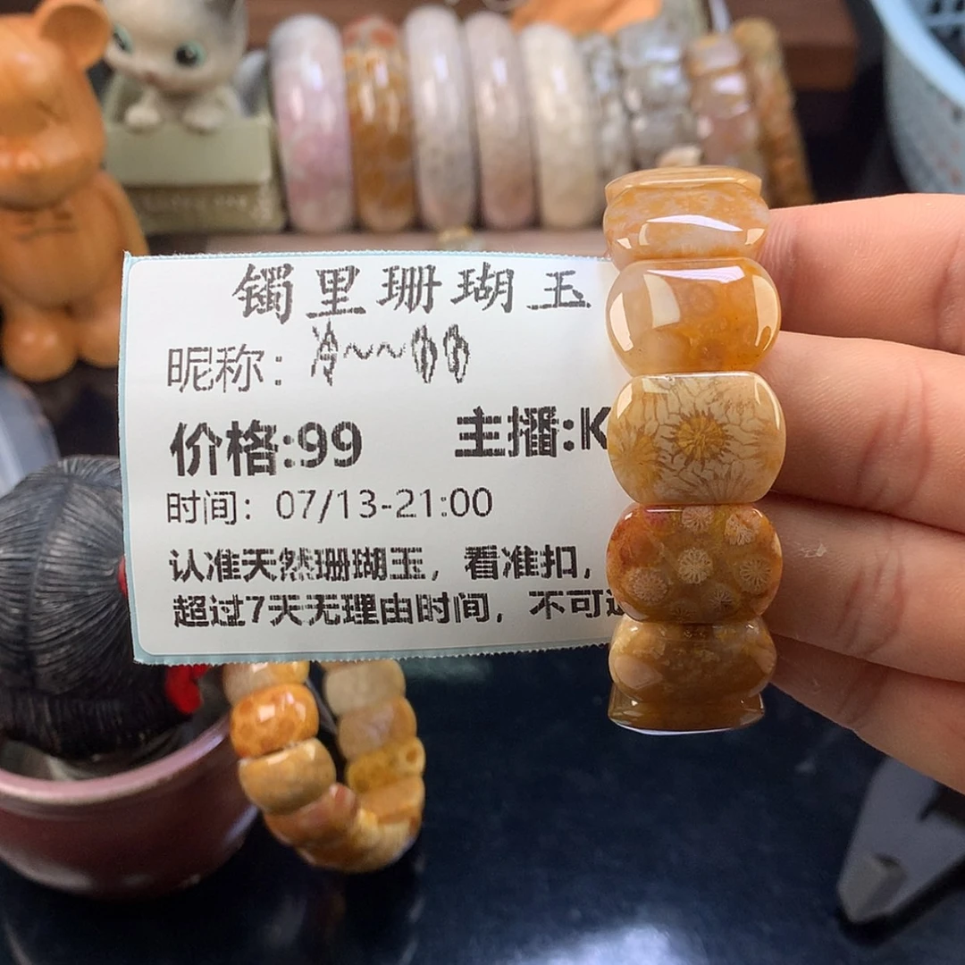 【闪购商品】硅化珊瑚（珊瑚玉）未镶嵌颈饰冷***?
