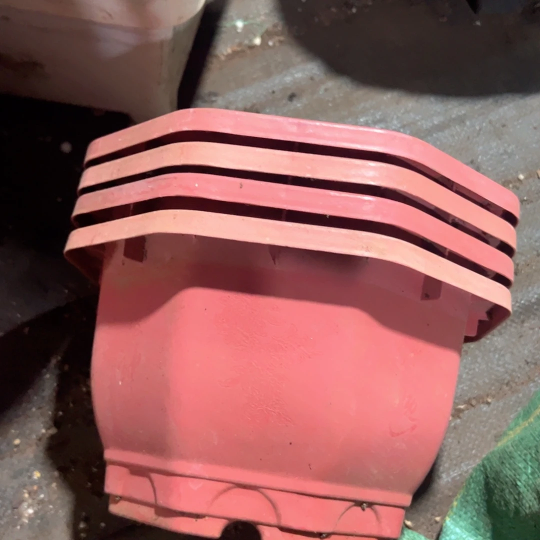 段***）红色八角盆23口径 4个